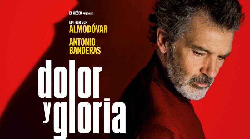 Dolor y gloria taquilla